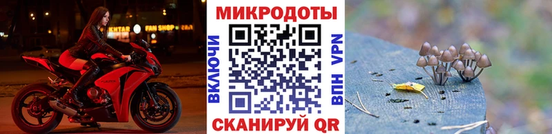 Купить где  Кулебаки  Псилоцибиновые грибы прущие грибы 